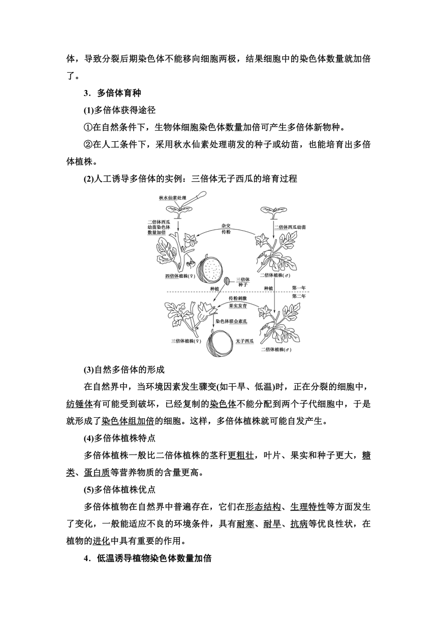 2020-2021学年苏教版（2019）高中生物： 必修2 第3章 第1节 染色体变异及其应用 学案 Word版含解析