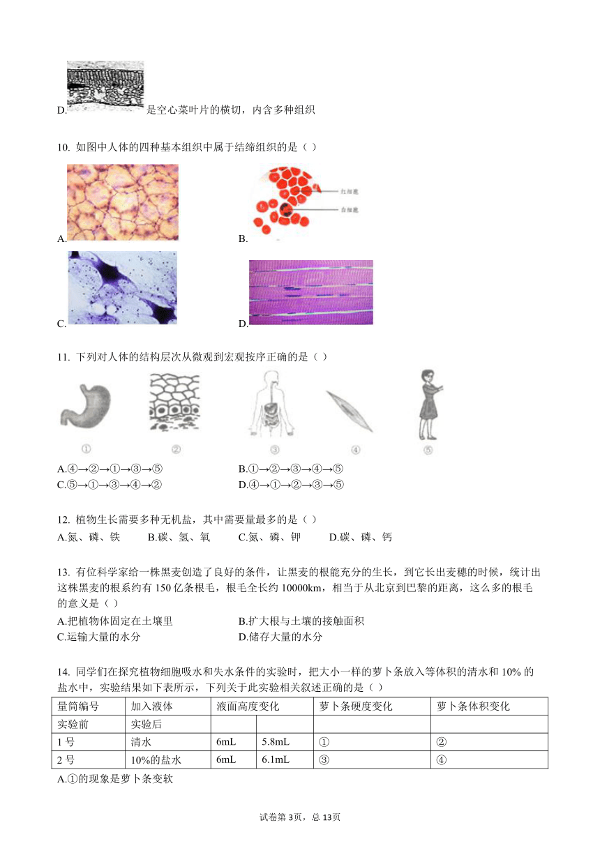 北京市密云区2020-2021学年七年级上学期期末考试生物试卷（word版含答案）