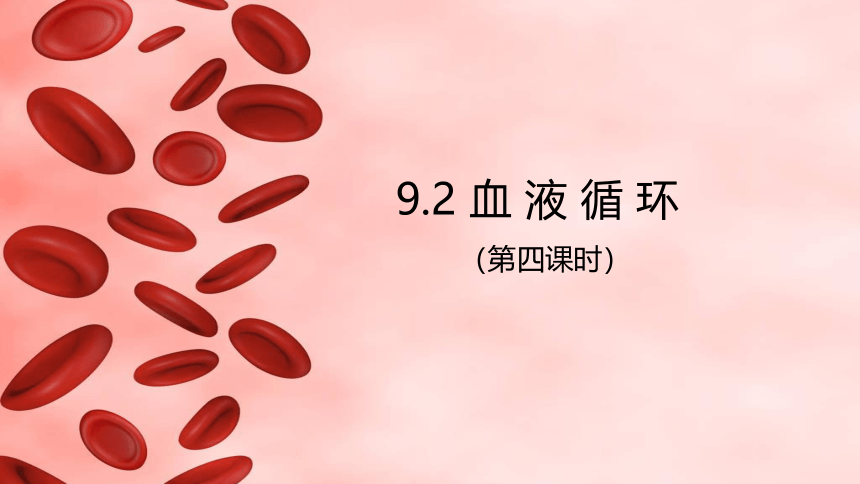 9.2 《血液循环》（第四课时）课件（共18张PPT）2022--2023学年北师大版生物七年级下册