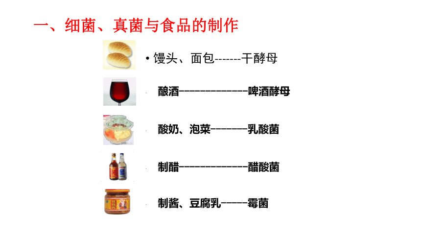 5.4.5 人类对细菌和真菌的利用课件（含58张ppt）