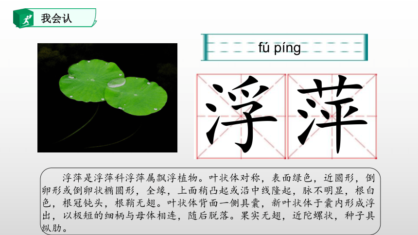 统编版一下12、古诗二首 课件(共40张PPT)