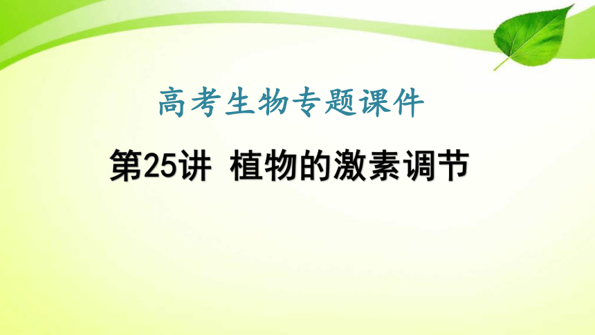 高考生物专题课件25：植物的激素调节（共78张PPT）