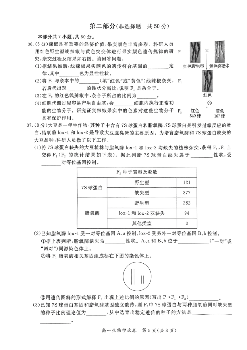 北京市通州区2023—2024学年高一下学期期中考试生物试题（PDF版，含答案）