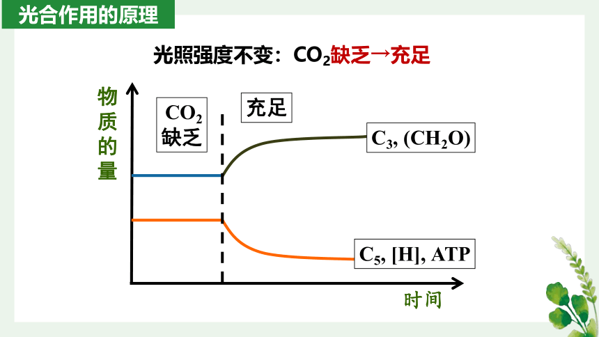 5.4光合作用与能量转化 第三课时（加强课）课件(共27张PPT)2022-2023学年高一上学期生物人教版（2019）必修1