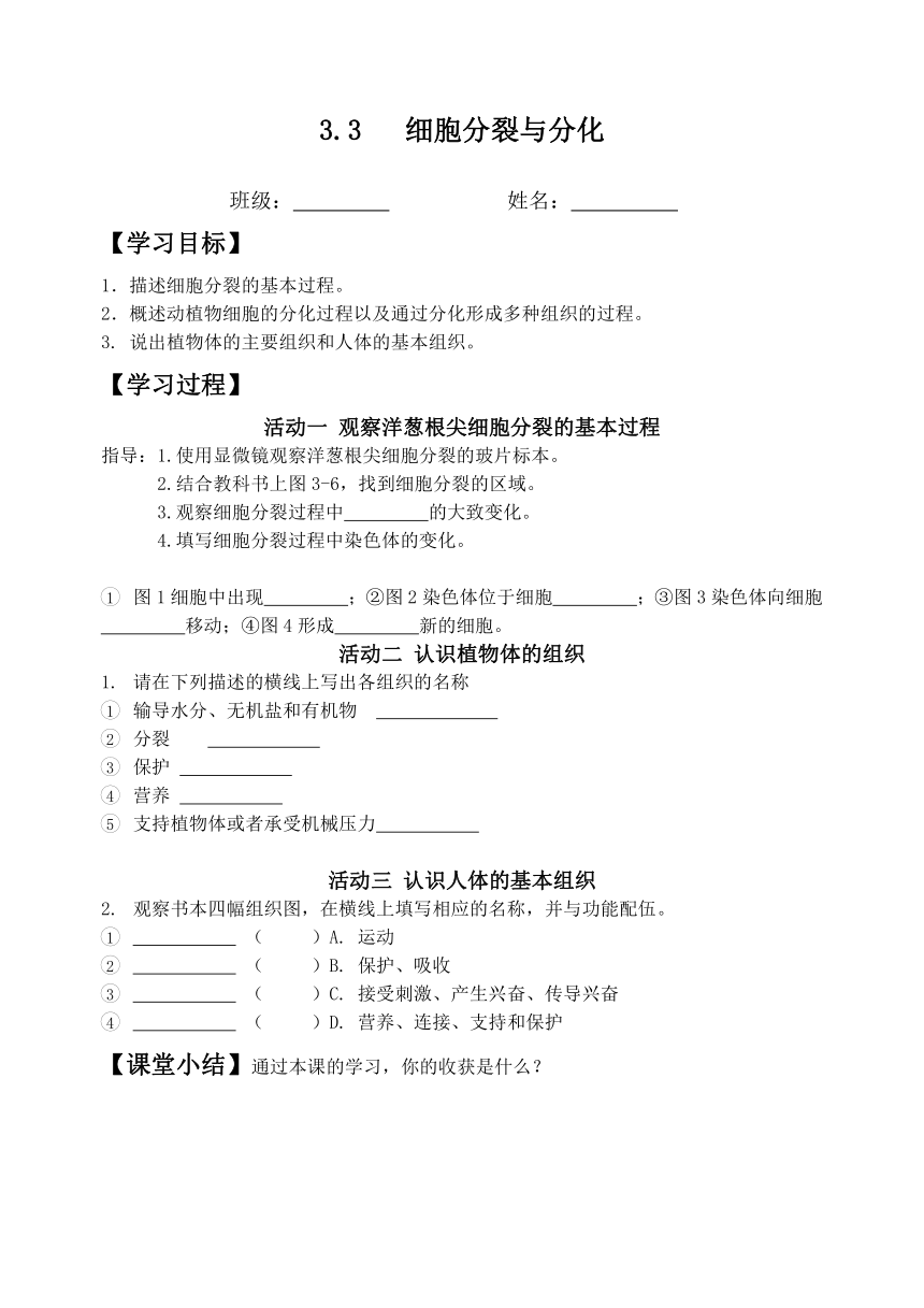 苏教版生物七年级上册3.3   细胞分裂与分化导学案（无答案）