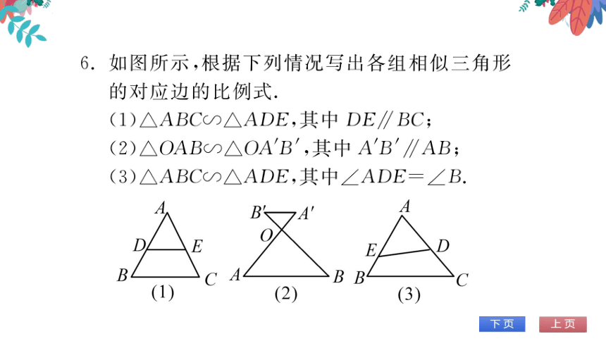 【华师大版】数学九年级上册 23.3.1 相似三角形 习题课件