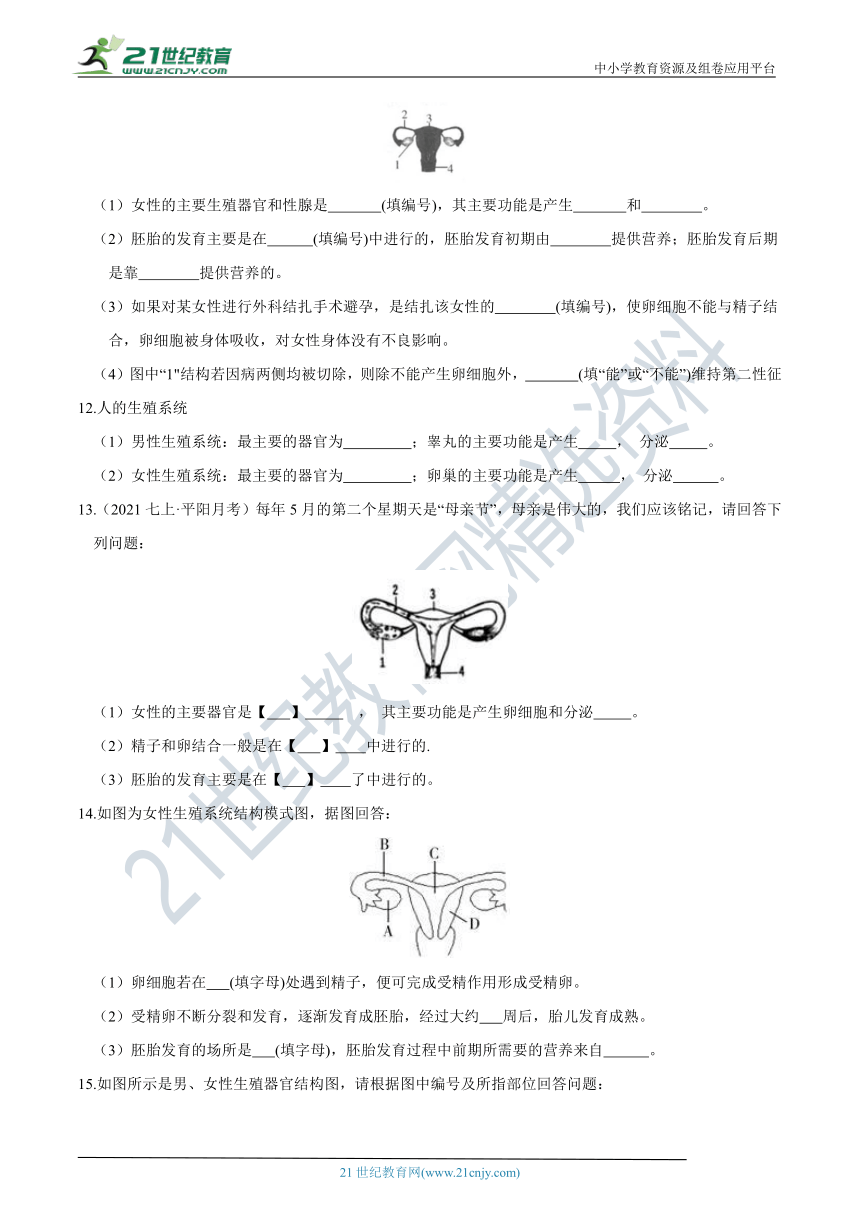 【7年级下册同步讲练测】1.1 新生命的诞生  知识点精炼（含答案）