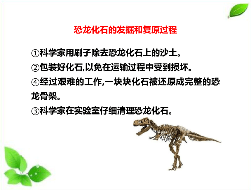 苏教版（2017秋）六年级上册科学8消失的恐龙 （课件30ppt）
