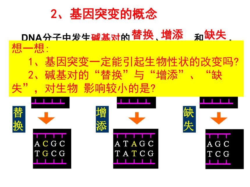 2020-2021学年高一下学期生物人教版必修二5.1基因突变和基因重组课件（44张）
