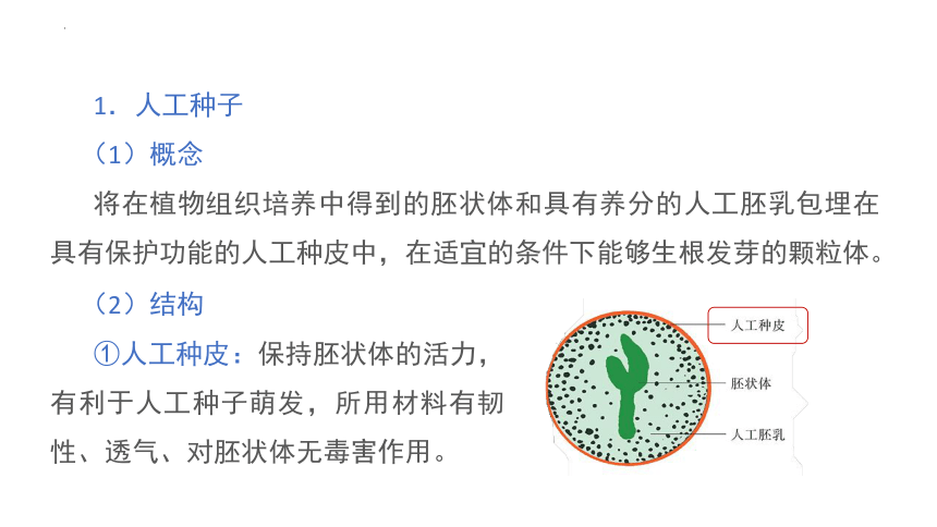 苏教版（2019）选择性必修三   2-2 植物细胞工程的应用  (共33张PPT)