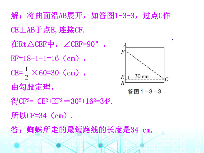 北师大版数学八年级上册1.3勾股定理的应用习题课件(共23张PPT)