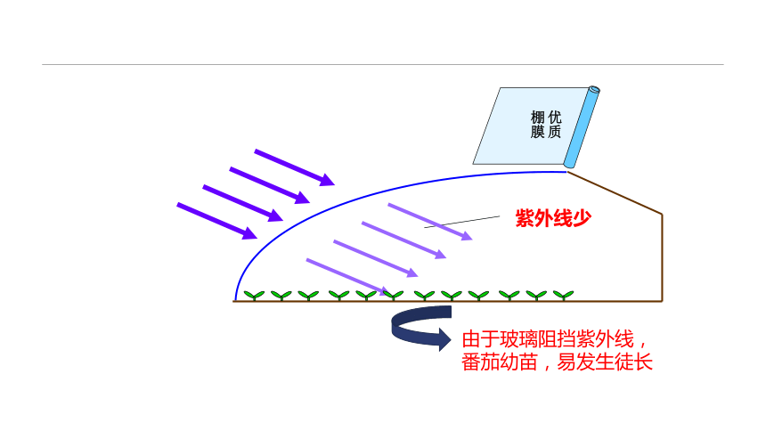 2.2.3设施环境的调控—光环境特点与调控 课件(共18张PPT)-《蔬菜生产技术》同步教学（中国农业出版社）