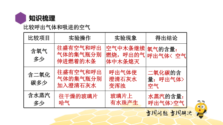 化学九年级-第1单元【复习课程】走进化学世界（21张PPT）