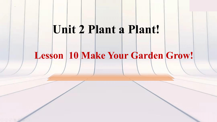 Unit 2 Plant a Plant! Lesson 10 课件(共13张PPT)2022-2023学年冀教版英语八年级下册