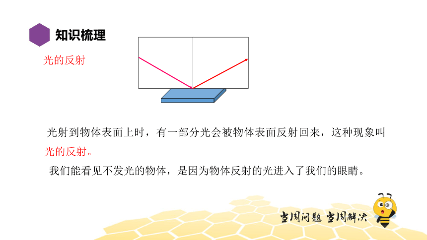 物理八年级-4.10【复习课程】光现象（42张PPT）