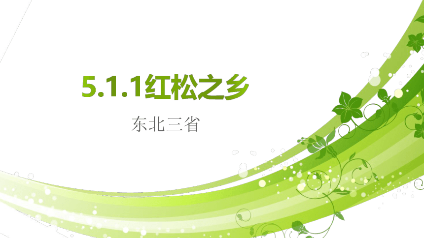 5.1.1：红松之乡 同步教学课件（18张PPT）