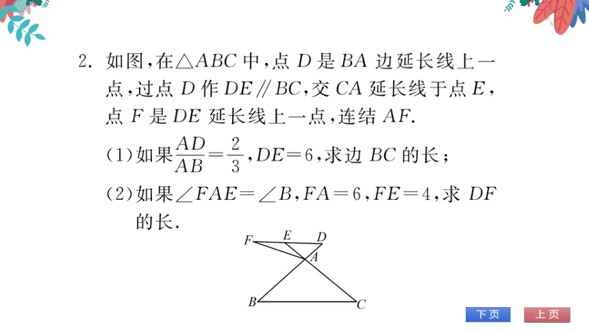 【华师大版】数学九年级上册 第23章 专题六 相似三角形的性质与判定 习题课件