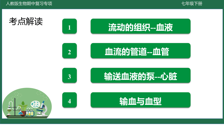 第四章 人体内物质的运输-七年级生物下学期期中考点大串讲（人教版）(共40张PPT)