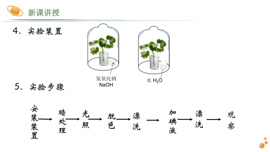 3.5.1光合作用吸收二氧化碳释放氧气 课件(共19张PPT) 人教版生物七年级上册