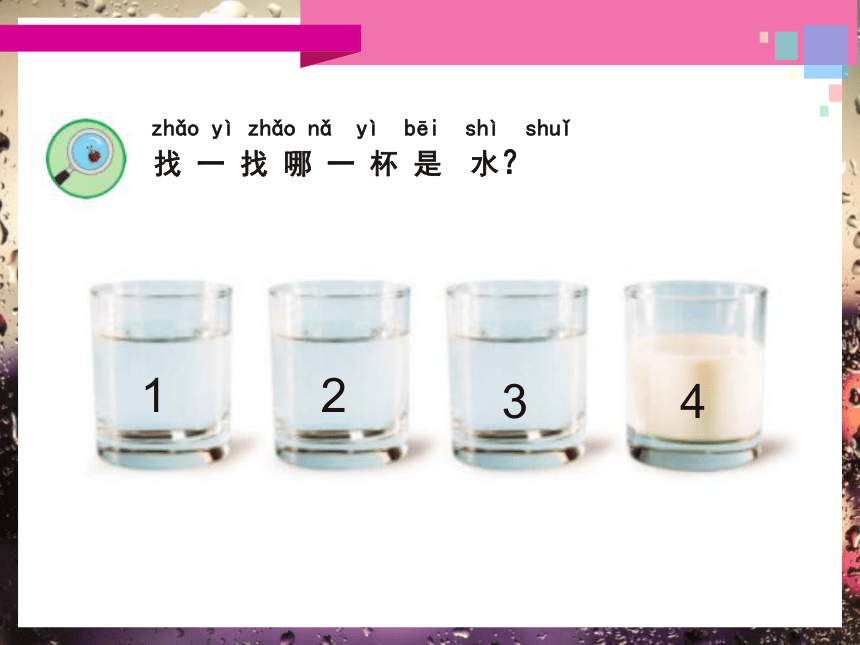 苏教版（2017秋）一年级下册科学课件-2.4 水是什么样的  （课件 共31张PPT）