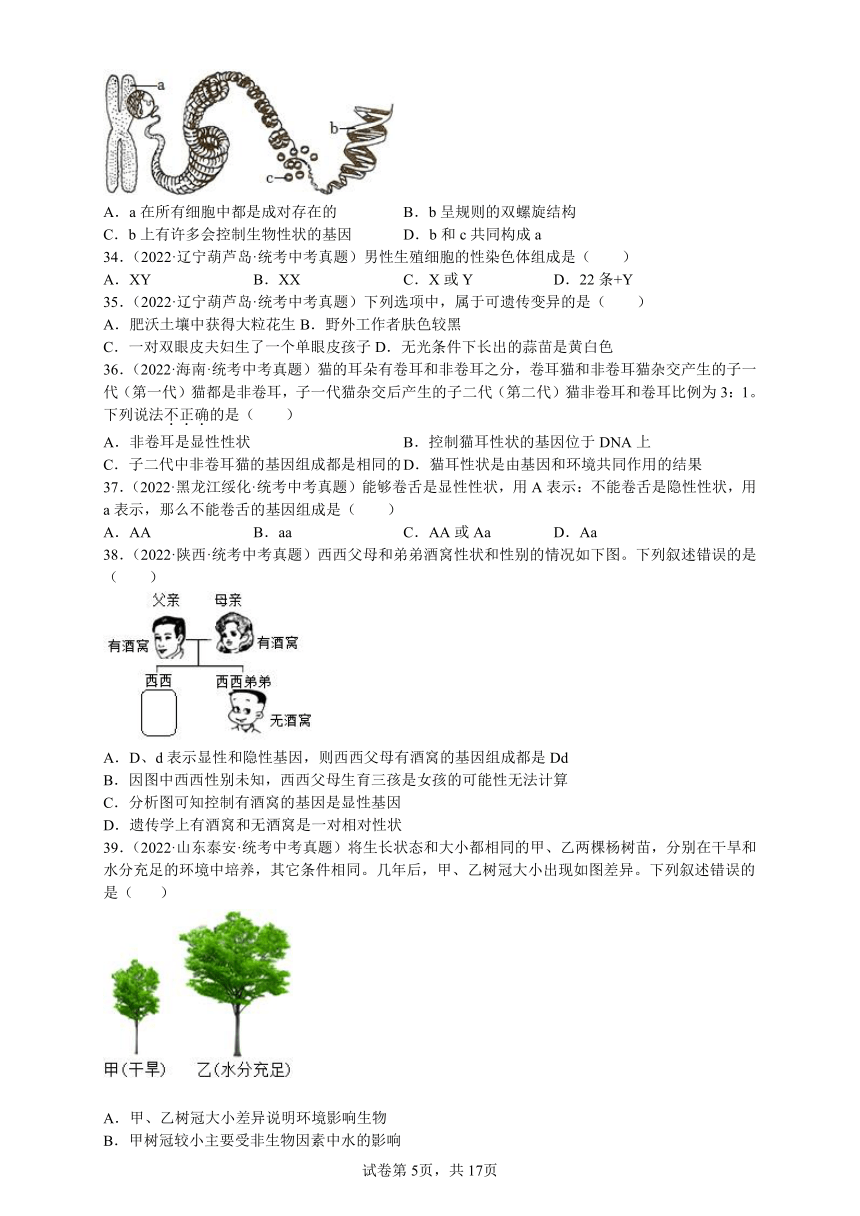 2023年人教版生物八年级下册7.2 生物的遗传与变异 复习题（无答案）