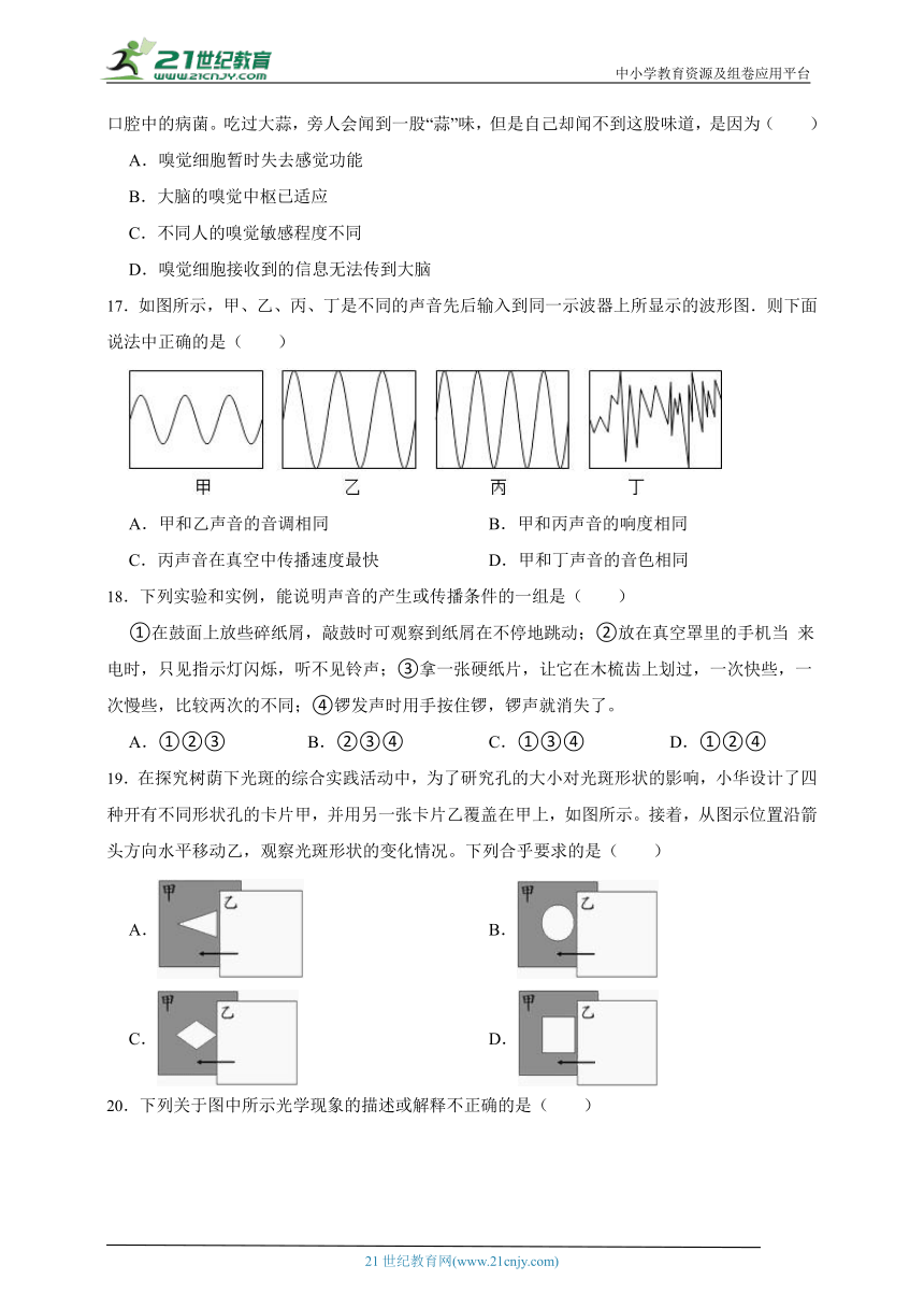 浙教版科学七年级下册期中复习讲义（含答案）