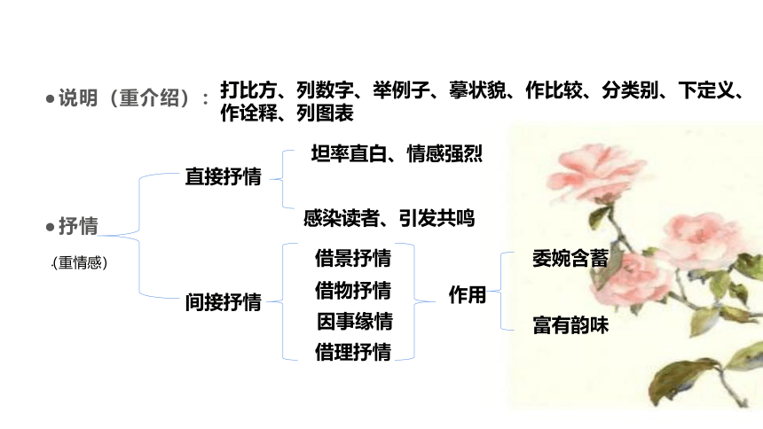 2022年中考语文二轮专题复习：文本阅读的方法和技巧（共13张PPT）