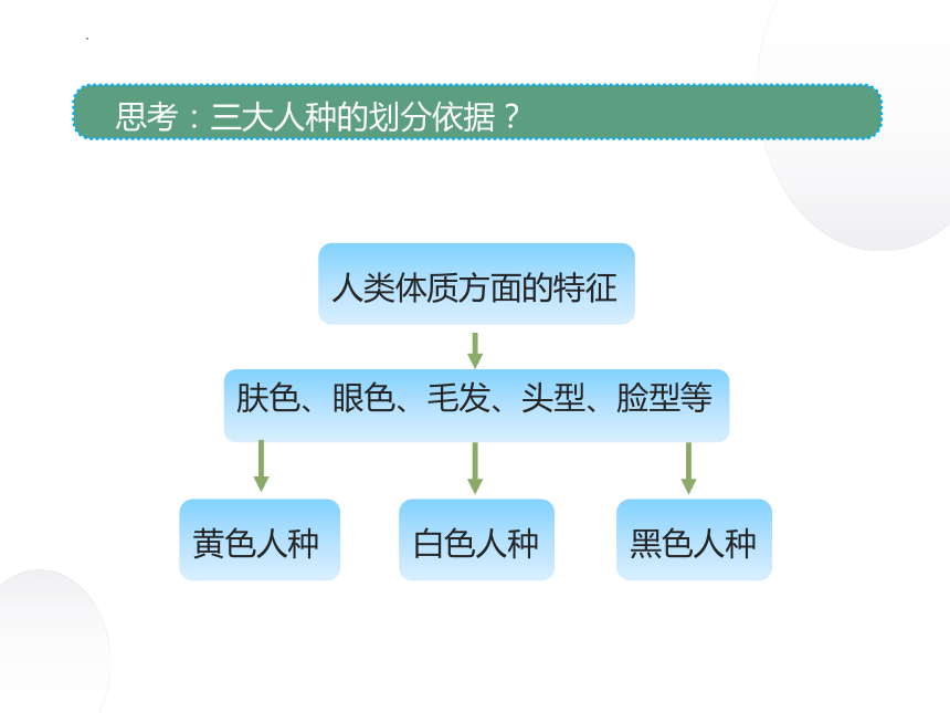 3.1《人种与人口》 第一课时 课件(共17张PPT)2022-2023学年中图版地理八年级上册