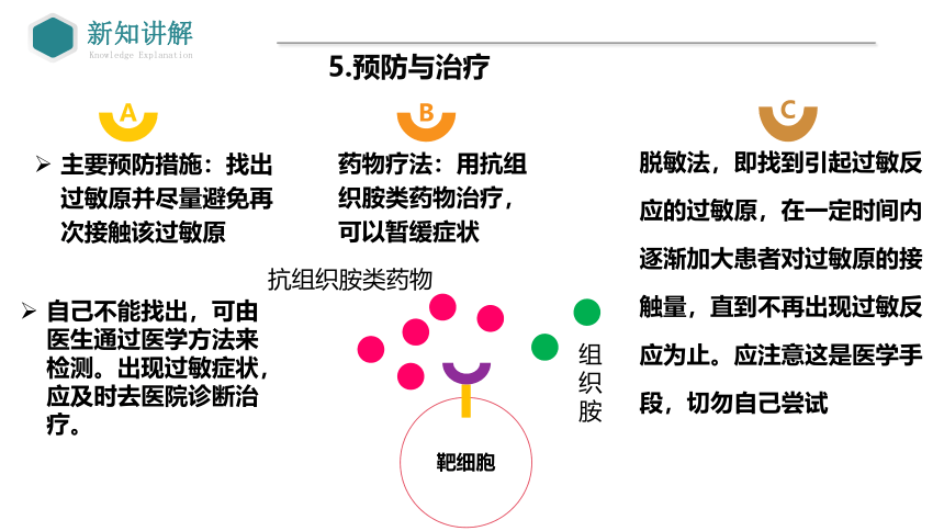 4.3免疫失调课件(共33张PPT3份视频)-人教版（2019）选择性必修1