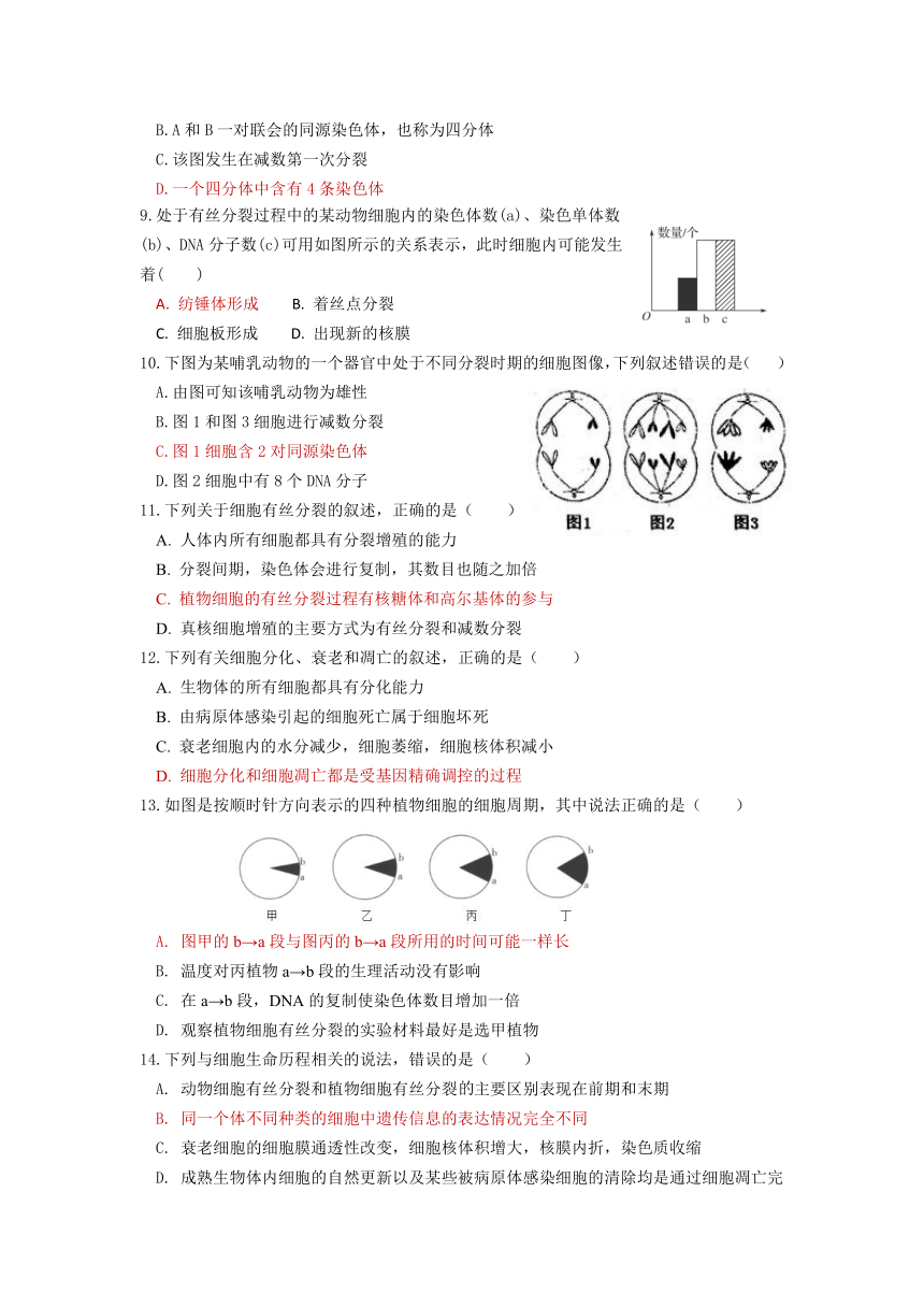 苏教版（2019）必修一第四章 细胞的增殖、分化、衰老和死亡 测试题（含答案）