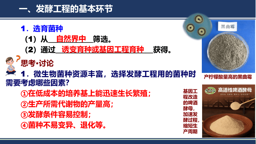 1.3发酵工程及其应用课件(共34张PPT)-人教版选择性必修3