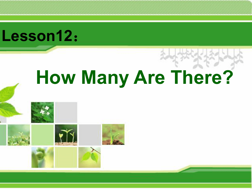 Unit 2 Lesson 10 How Many Are There说课课件（19张）
