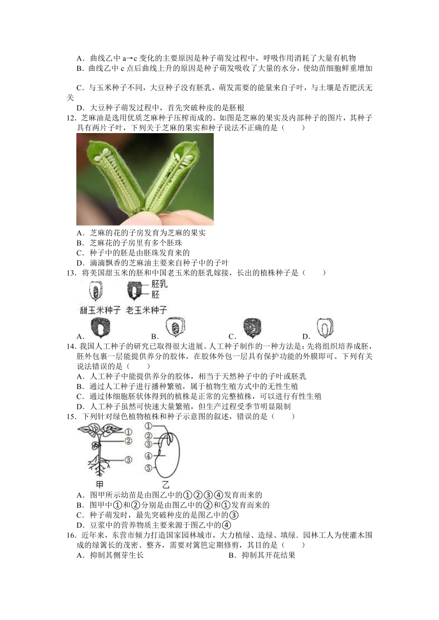 2022-2023学年浙教版科学七年级下册1.4植物的一生 同步练习（含解析）