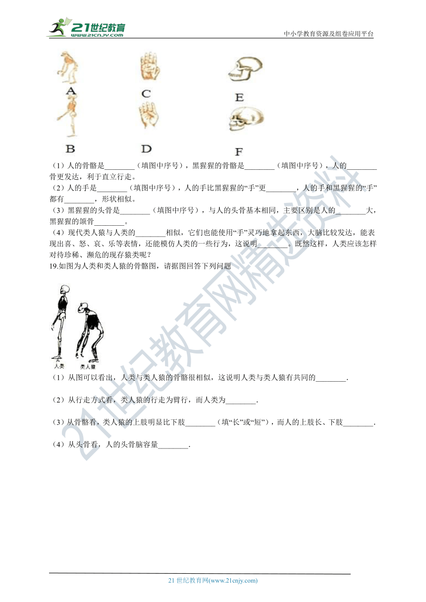 人教版2021初中生物七年级下册4.1.1人类的起源和发展同步练习（含解析）