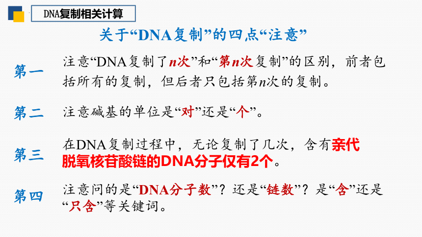 3.3 DNA的复制 第2课时(共21张PPT)课件-2023-2024学年高一下学期生物人教版（2019）必修2