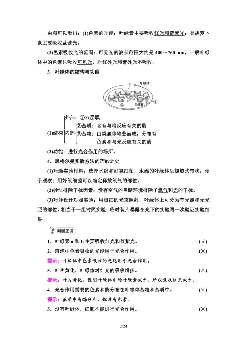 【备考2024】生物高考一轮复习学案：第9讲 光合作用与能量转化(Ⅰ)(含答案）