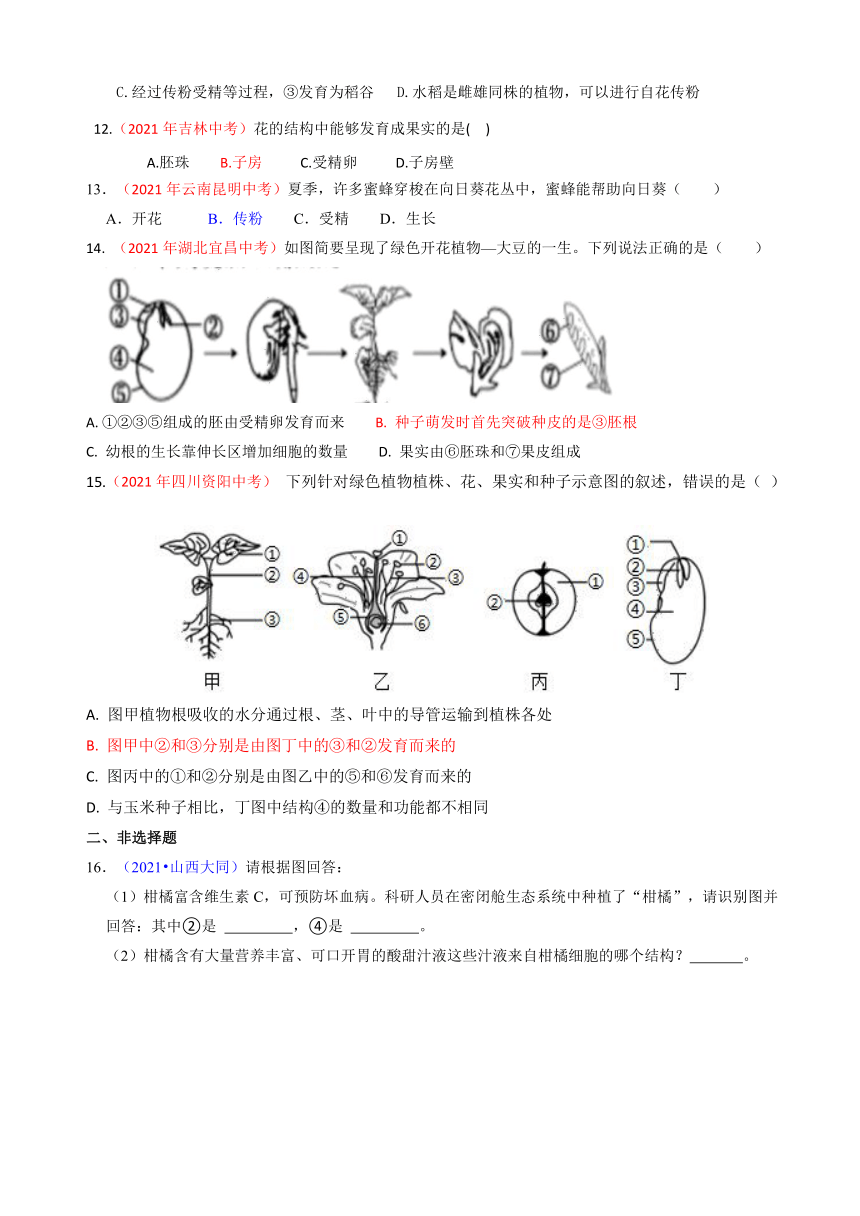 2021年全国中考生物真题分类汇编-花的结构与果实种子的形成(word版有解析）