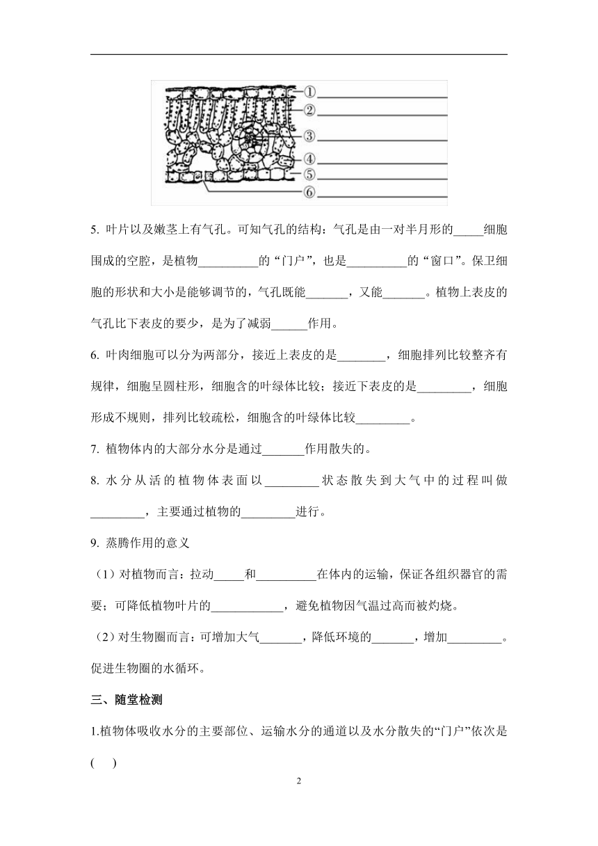 3.3绿色植物与生物圈的水循环（第2课时）学案（答案不全）初中生物人教版七年级上册