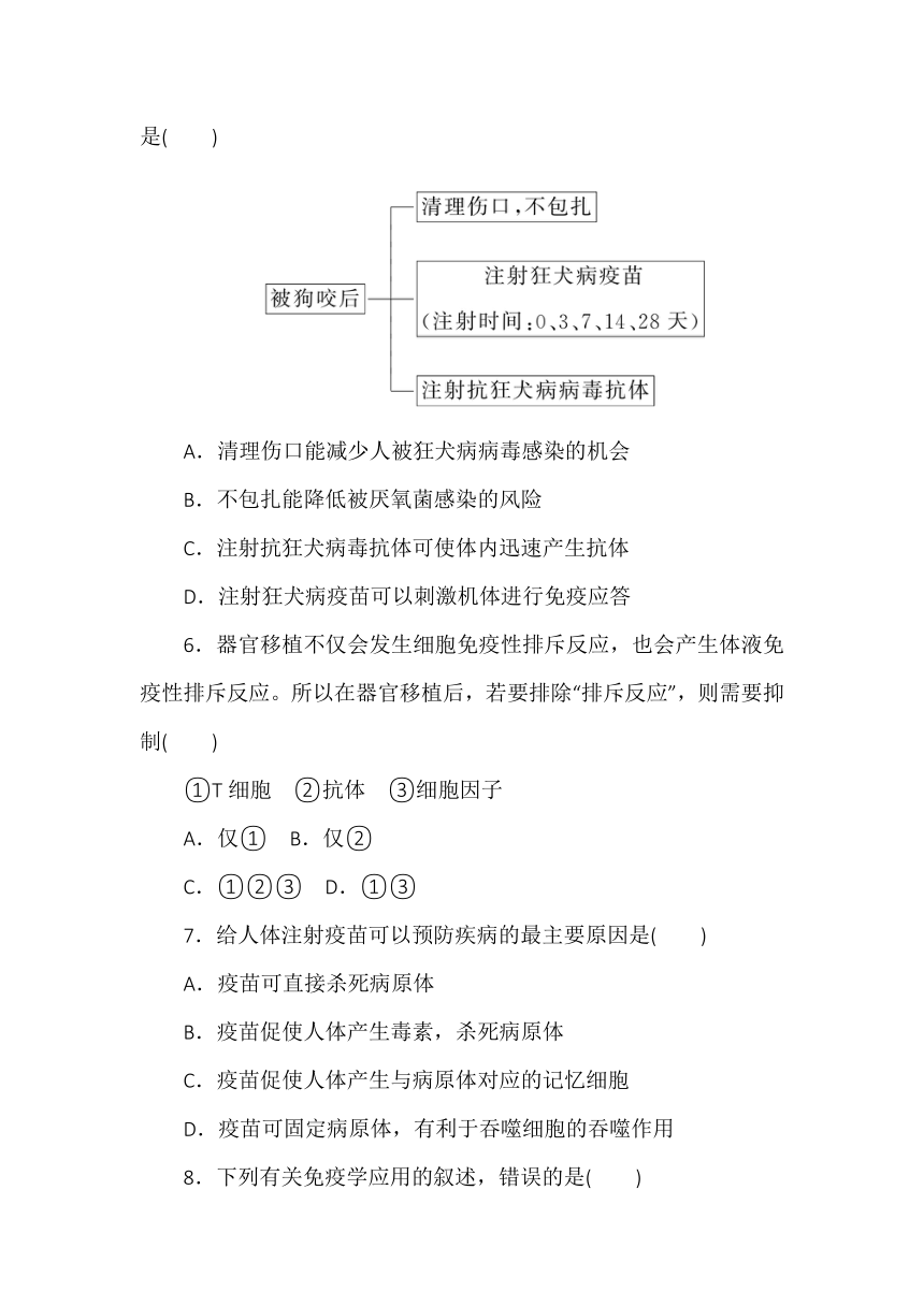 4.4《免疫学的应用》同步课时练习-2022-2023学年高中生物人教版（2019）选择性必修1（含答案）