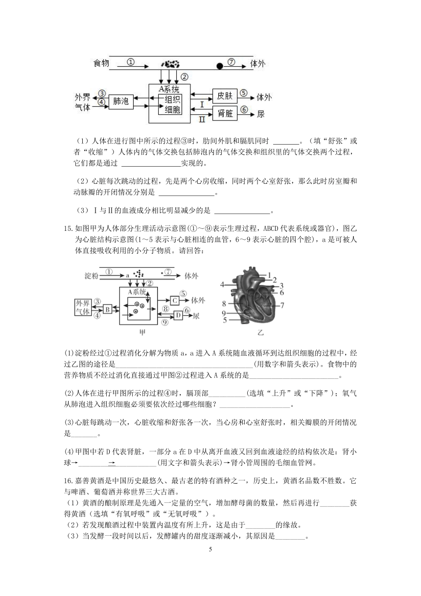 【备考2023】浙教版科学“冲刺重高”压轴训练（二十七）：动物的新陈代谢（含解析）