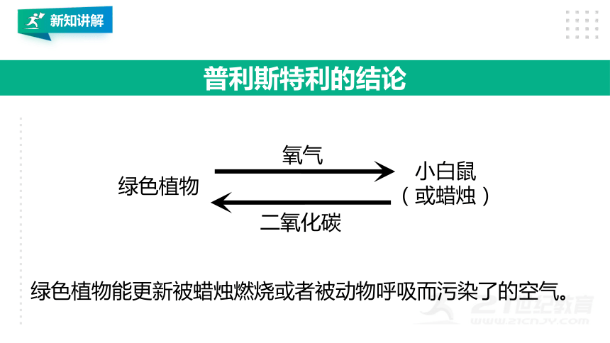 3.5.1 光合作用吸收二氧化碳释放氧气课件(共30张PPT)