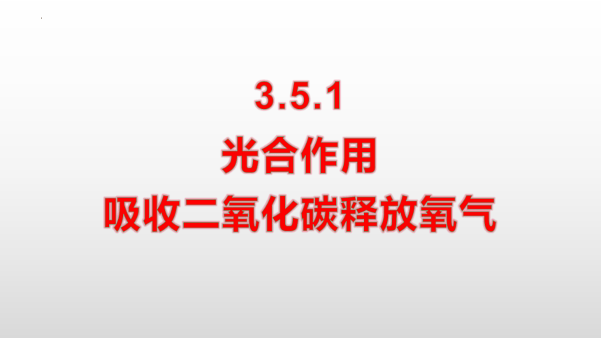 2022-2023学年七年级生物上学期3.5.1 光合作用吸收二氧化碳释放氧气-同步优质课件(共22张PPT)