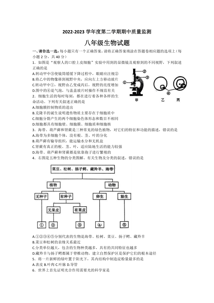 山东省枣庄市峄城区2022-2023学年八年级下学期期中生物试卷（无答案）