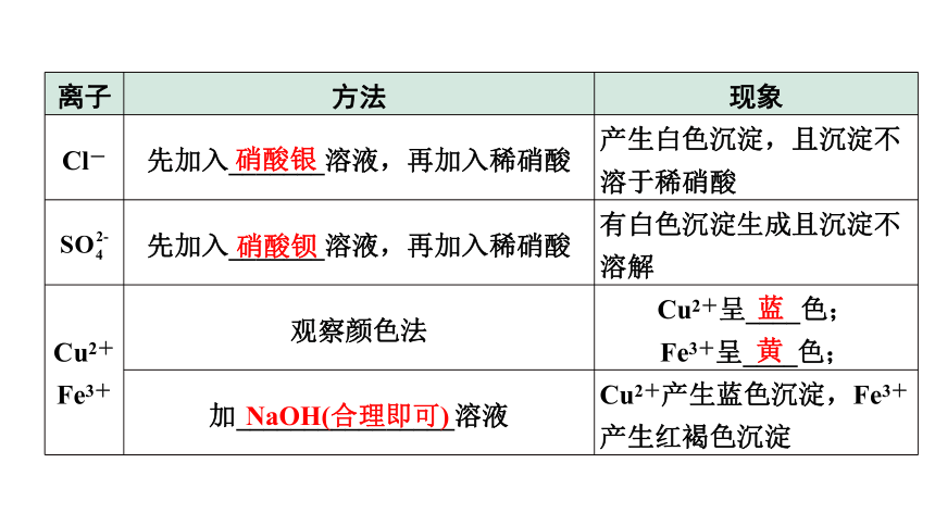 2022年化学中考备考复习专题突破 《 物质的检验与鉴别、除杂与分离》精讲课件（五）（课件41页）