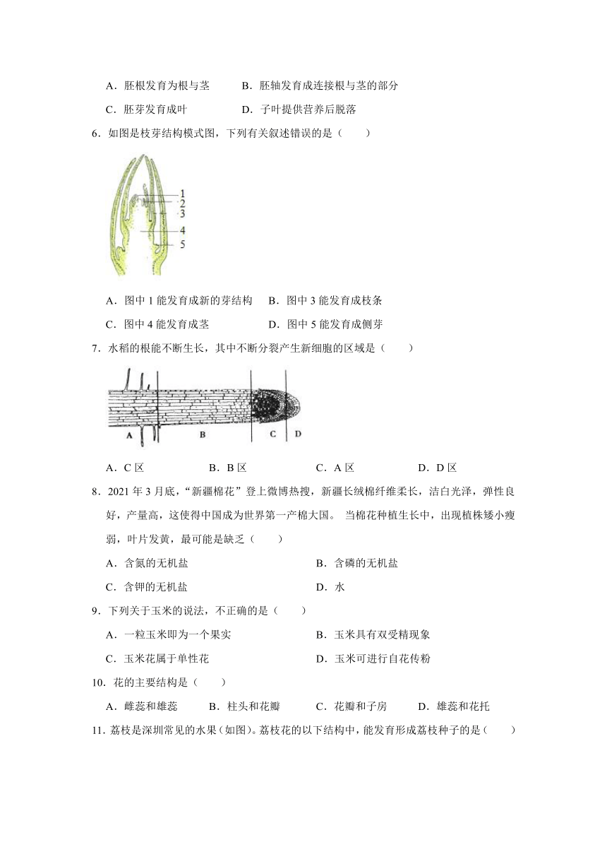 第2章 被子植物的一生 课后作业-人教版七年级生物上册（含答案）