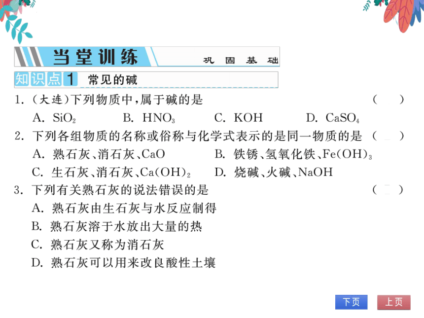 【人教版】化学九年级下册-第十单元 课题1 第3课时 常见的碱 (习题课件)