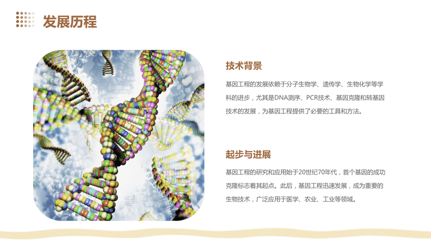 3.3基因工程的应用(共28张PPT)课件2023-2024学年高二第二学期生物人教版选择性必修三