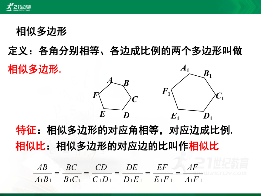 4.3 相似多边形课件(共25张PPT)