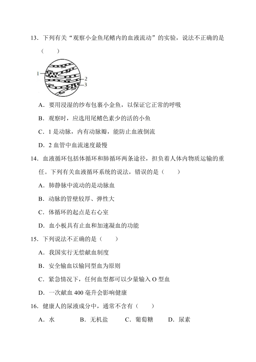 四川省江油市初中八校2022-2023学年八年级上学期开学联考生物试卷（Word版含答案）