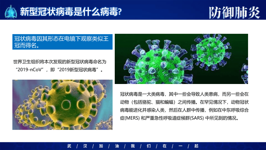 防御肺炎 课件（27ppt）